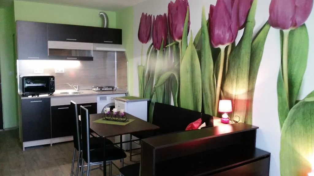 Apartments Medical University Plovdiv 0*,  Bulgaria